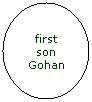 Flowchart: Connector: first son Gohan
